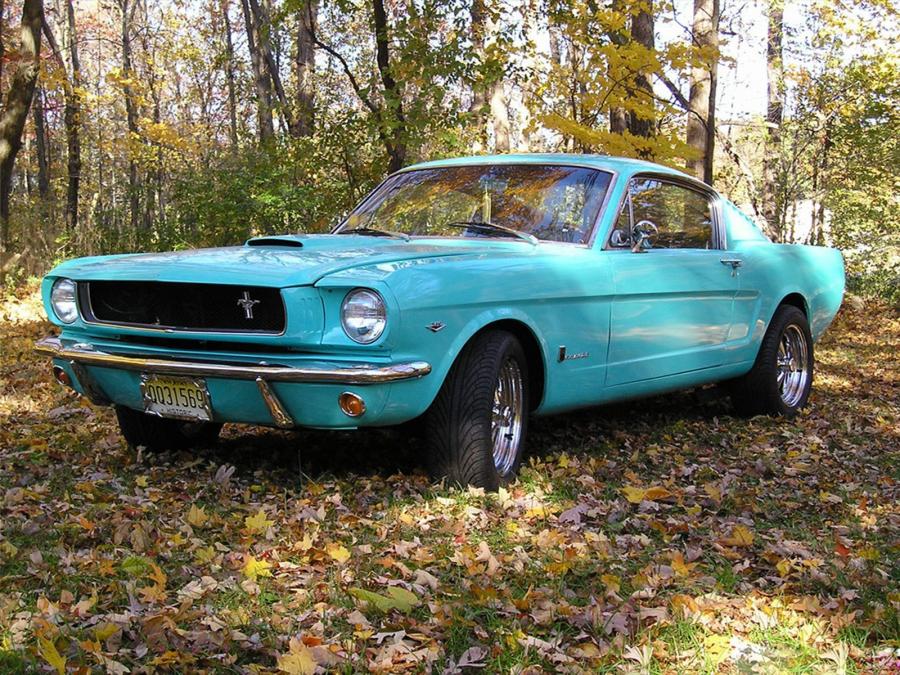  Ford Mustang GT Fastback 1965 года  (фото 7 из 19)